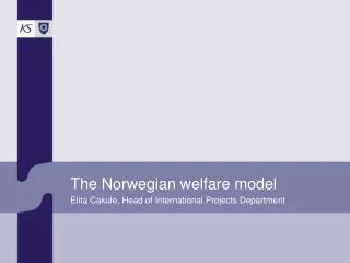 The Norwegian welfare model