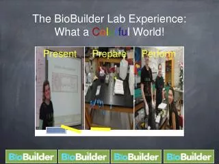 The BioBuilder Lab Experience: What a C o l o r f u l World!