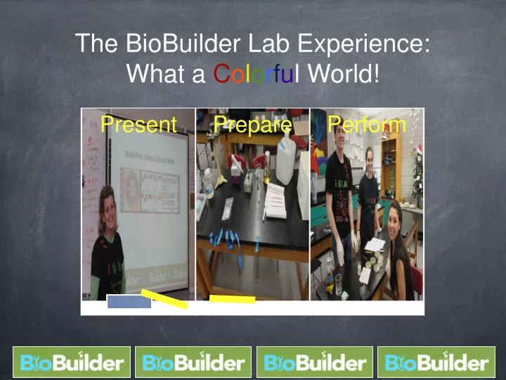 the biobuilder lab experience what a c o l o r f u l world