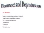 Hormones and Reproduction - slide 1