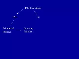 Pituitary Gland