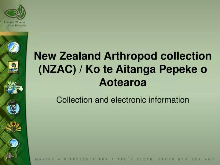 new zealand arthropod collection nzac ko te aitanga pepeke o aotearoa