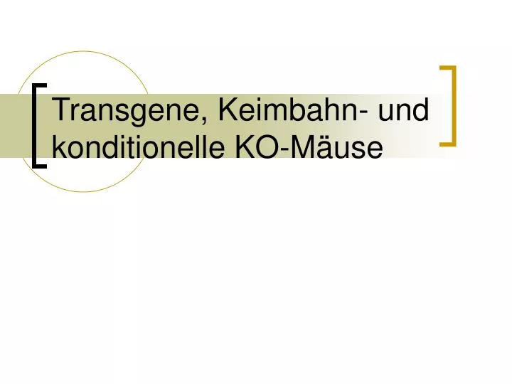 transgene keimbahn und konditionelle ko m use