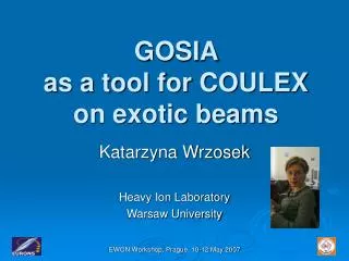GOSIA as a tool for COULEX on exotic beams