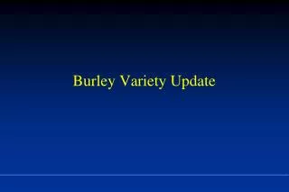 Burley Variety Update