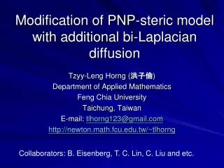 Modification of PNP-steric model with additional bi-Laplacian diffusion