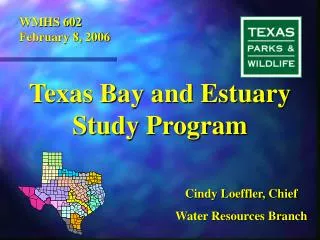 Texas Bay and Estuary Study Program