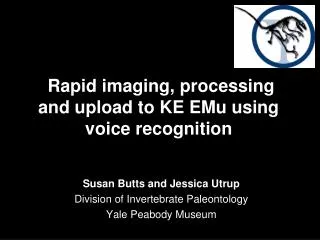 Rapid imaging, processing and upload to KE EMu using voice recognition