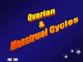 Ovarian &amp; Menstrual Cycles