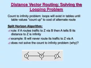 Distance Vector Routing: Solving the Looping Problem