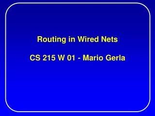 Routing in Wired Nets CS 215 W 01 - Mario Gerla