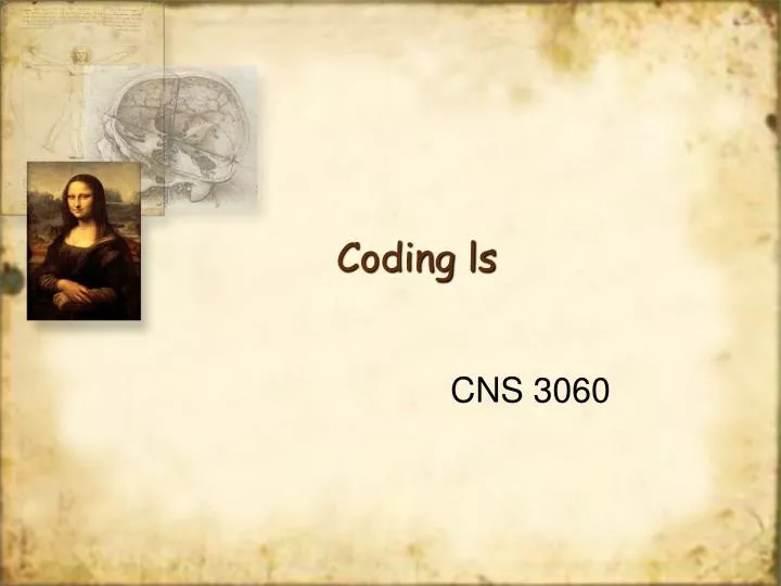 coding ls