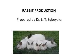 RABBIT PRODUCTION Prepared by Dr. L. T. Egbeyale