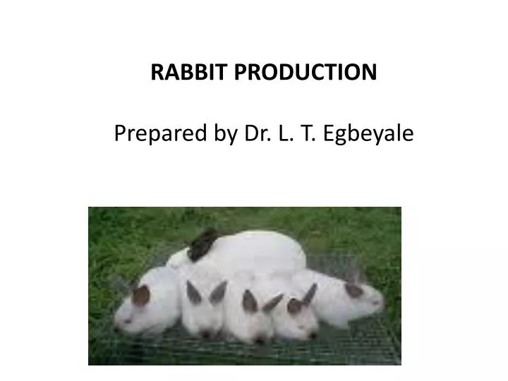 rabbit production prepared by dr l t egbeyale