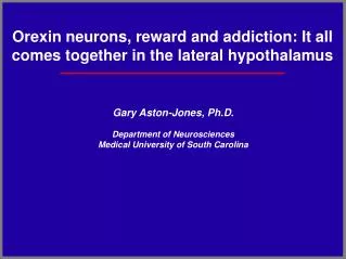 Orexin neurons, reward and addiction: It all comes together in the lateral hypothalamus