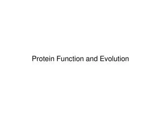 Protein Function and Evolution