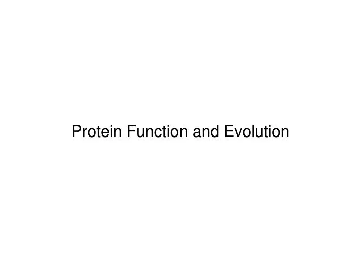protein function and evolution