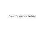 Protein Function and Evolution - slide 1