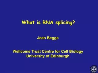 What is RNA splicing?