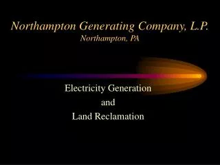 Northampton Generating Company, L.P. Northampton, PA