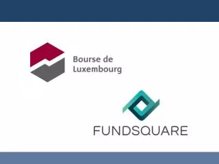 The Luxembourg financial information exchange portal