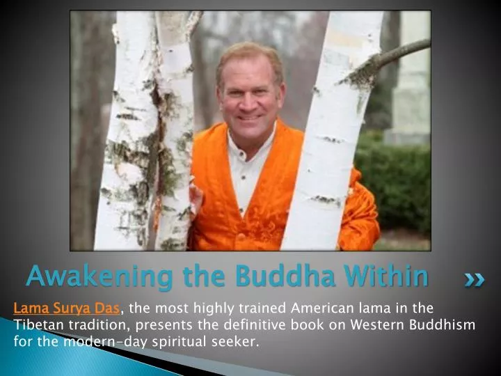 awakening the buddha within