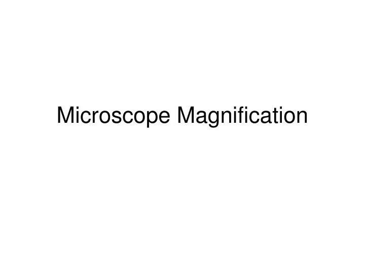 microscope magnification