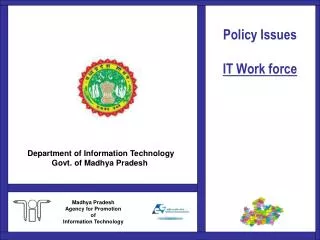 Policy Issues IT Work force