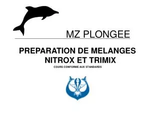 mz plongee