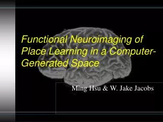 Functional Neuroimaging of Place Learning in a Computer-Generated Space