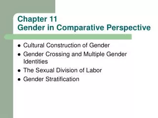 chapter 11 gender in comparative perspective