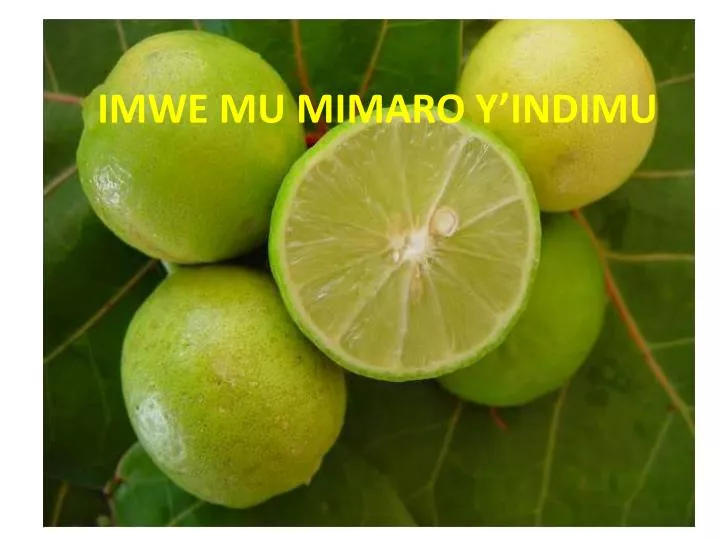 imwe mu mimaro y indimu by emmanuel nzaramba