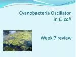 Week 7 review - slide 1