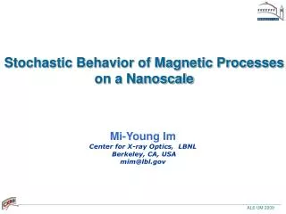 Stochastic Behavior of Magnetic Processes on a Nanoscale