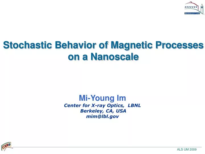 stochastic behavior of magnetic processes on a nanoscale