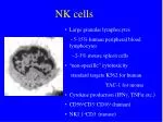 NK cells - slide 1