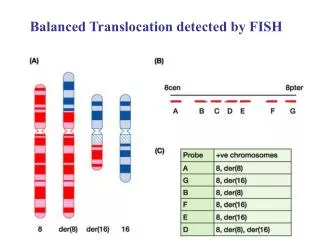 Balanced Translocation detected by FISH
