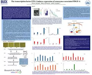 The transcription factor ETS-1 induces expression of senescence-associated PDGF-A