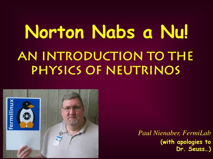 norton nabs a nu