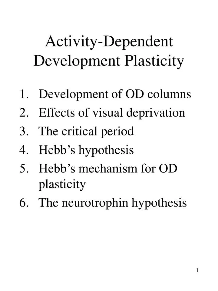 activity dependent development plasticity