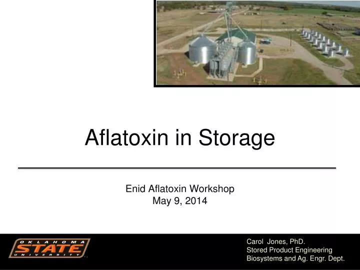 aflatoxin in storage