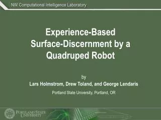 Experience-Based Surface-Discernment by a Quadruped Robot