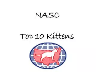 NASC Top 10 Kittens