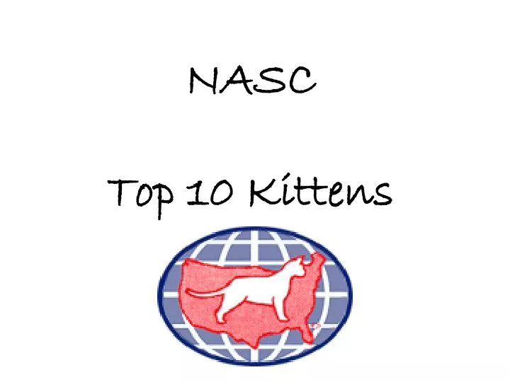 nasc top 10 kittens