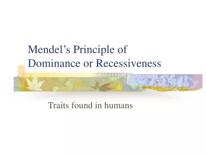 mendel s principle of dominance or recessiveness