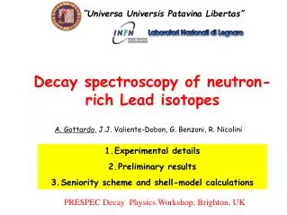 Decay spectroscopy of neutron-rich Lead isotopes