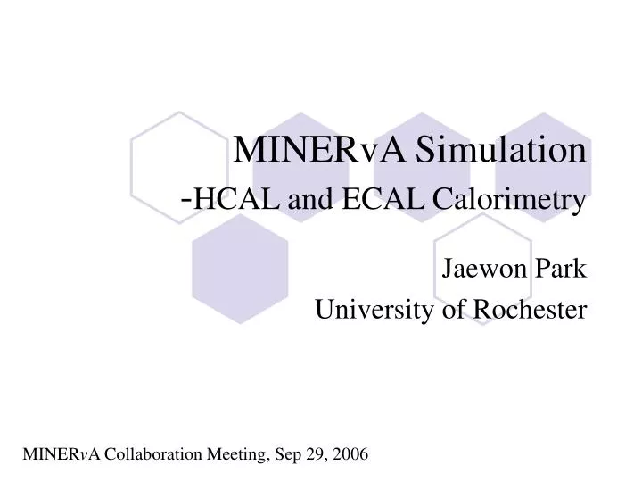 minerva simulation hcal and ecal calorimetry