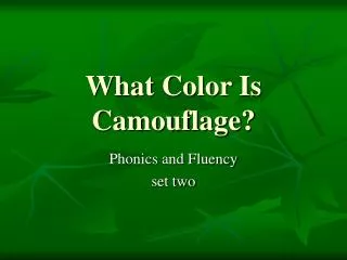 What Color Is Camouflage?