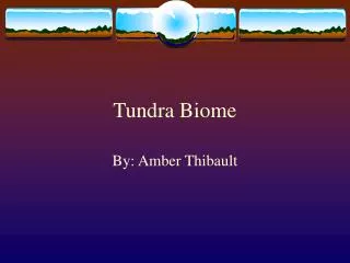 Tundra Biome