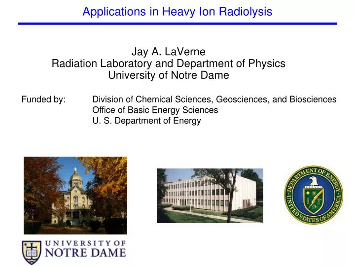 applications in heavy ion radiolysis